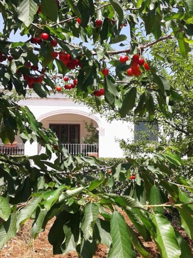 La Volpina Bed & Breakfast Martina Franca Luaran gambar
