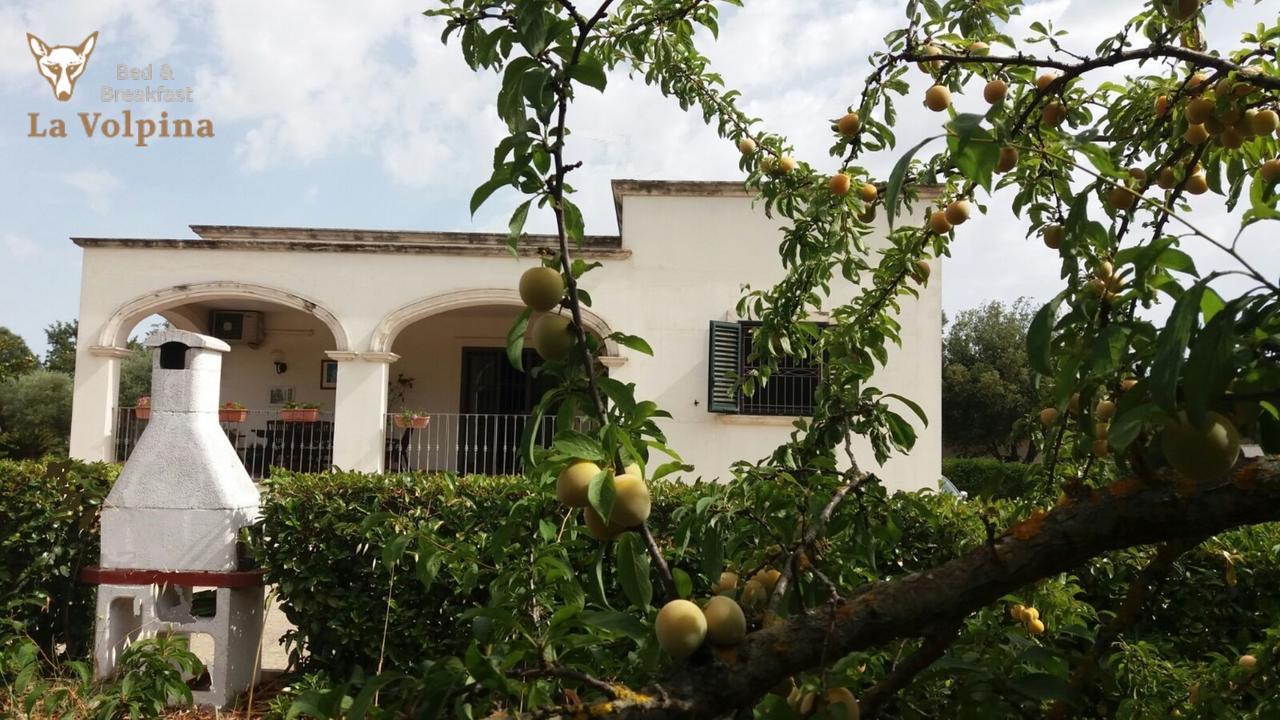La Volpina Bed & Breakfast Martina Franca Luaran gambar